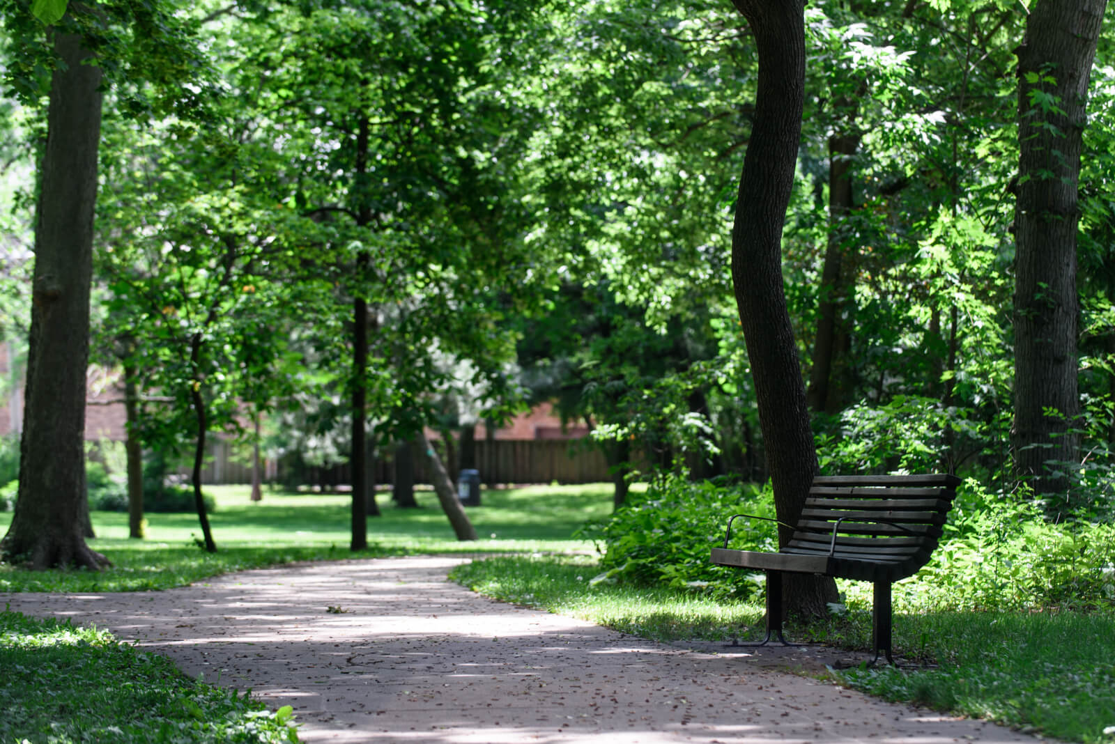 Beautiful Austin Gardens in Oak Park, IL