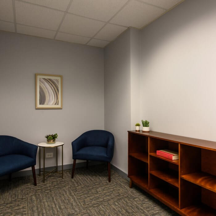 1010 Lake Street, Oak Park, IL available offices and medical spaces in Downtown Oak Park