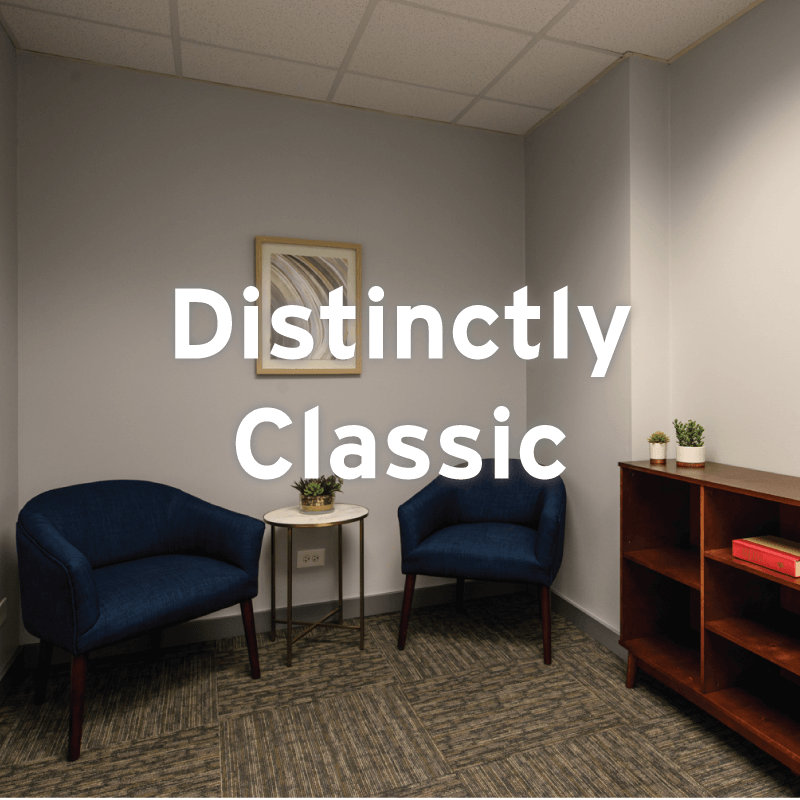 Distinctly Classic move-in ready spec suite at 1010 Lake Street, Downtown Oak Park